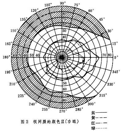 视网膜的颜色区