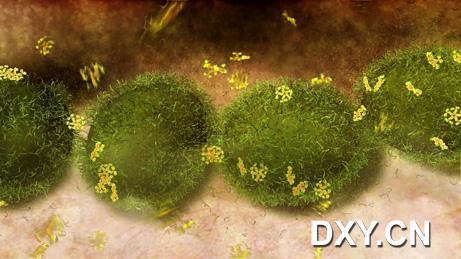 人体免疫系统抵御病菌