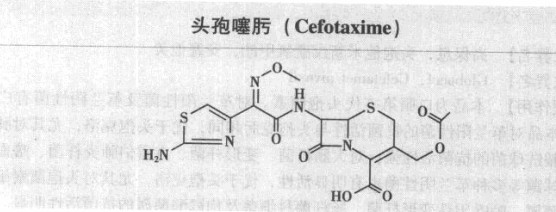 头孢噻肟结构.jpg