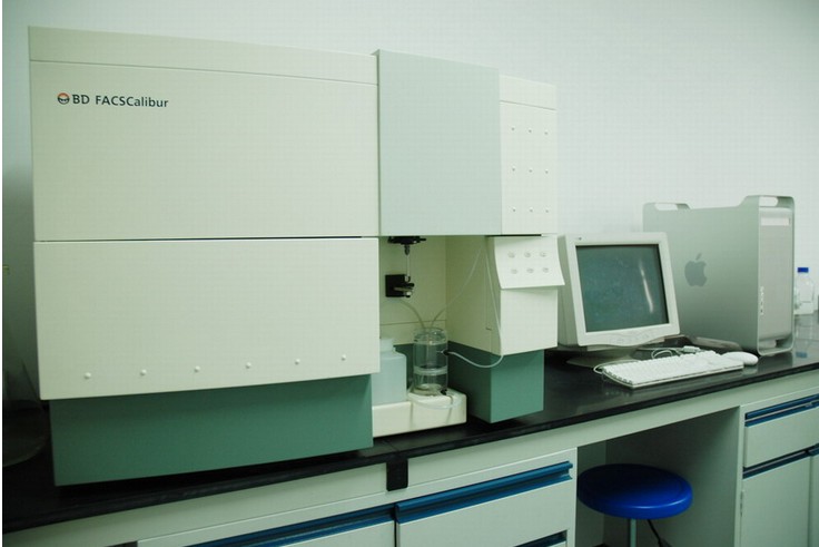 文件:流式细胞术.jpg