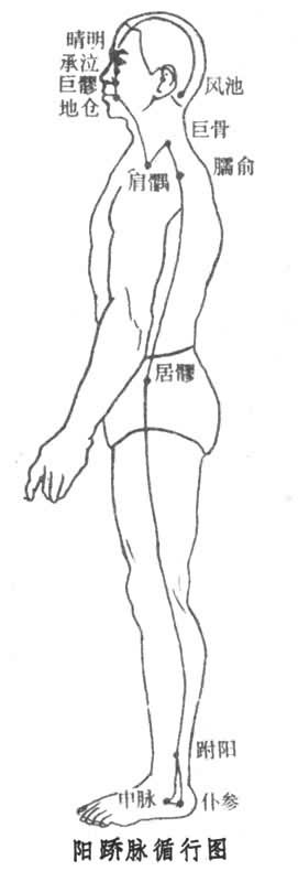 阳蹻脉循行图