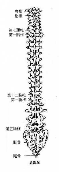 文件:Glxizab9.jpg
