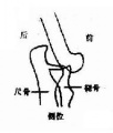 2014年1月18日 (六) 11:46的版本的缩略图