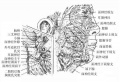 2014年1月18日 (六) 09:38的版本的缩略图