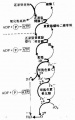 2014年1月18日 (六) 18:29的版本的缩略图