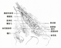 2014年1月18日 (六) 13:55的版本的缩略图