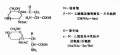 2014年1月18日 (六) 15:16的版本的缩略图