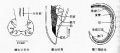 2014年1月18日 (六) 07:31的版本的缩略图