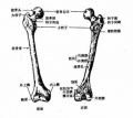 2014年1月18日 (六) 16:01的版本的缩略图