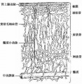 2014年1月18日 (六) 12:48的版本的缩略图