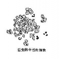 2014年1月18日 (六) 08:41的版本的缩略图