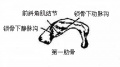 2014年1月18日 (六) 13:52的版本的缩略图