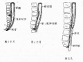 2014年1月18日 (六) 17:06的版本的缩略图