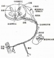 2014年1月18日 (六) 12:23的版本的缩略图