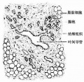 2014年1月18日 (六) 10:48的版本的缩略图