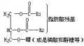 2014年1月19日 (日) 08:47的版本的缩略图