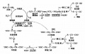 2014年1月18日 (六) 11:30的版本的缩略图