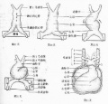 2014年1月18日 (六) 08:01的版本的缩略图
