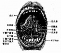 2014年1月18日 (六) 12:27的版本的缩略图
