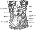 2014年1月18日 (六) 11:09的版本的缩略图
