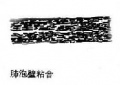 2014年1月18日 (六) 13:53的版本的缩略图