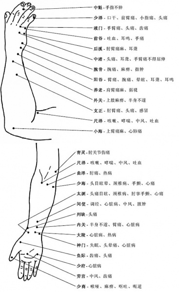 文件:X shangzhi.jpg