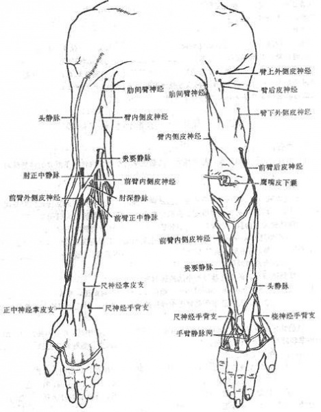 文件:Glyrmfni.jpg