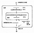 2014年1月18日 (六) 14:55的版本的缩略图