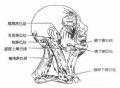 2014年1月18日 (六) 12:42的版本的缩略图