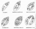 2014年1月18日 (六) 09:49的版本的缩略图