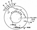 2014年1月18日 (六) 08:40的版本的缩略图