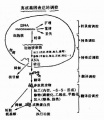 2014年1月18日 (六) 14:00的版本的缩略图