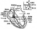 2014年1月18日 (六) 16:24的版本的缩略图