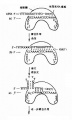 2014年1月18日 (六) 07:49的版本的缩略图