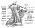 2014年1月18日 (六) 17:51的版本的缩略图