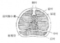 2014年1月18日 (六) 12:11的版本的缩略图
