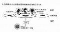 2014年1月18日 (六) 18:26的版本的缩略图