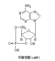 2014年1月17日 (五) 05:10的版本的缩略图