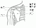 2014年1月18日 (六) 04:44的版本的缩略图