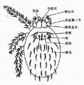 2014年1月18日 (六) 16:30的版本的缩略图