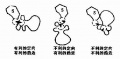 2014年1月18日 (六) 15:41的版本的缩略图