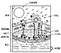 2014年1月18日 (六) 22:38的版本的缩略图