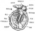 2014年1月18日 (六) 11:18的版本的缩略图