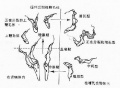 2014年1月18日 (六) 11:45的版本的缩略图