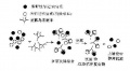 2014年1月18日 (六) 15:09的版本的缩略图