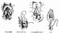 2014年1月18日 (六) 18:08的版本的缩略图
