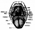 2014年1月18日 (六) 17:40的版本的缩略图