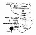 2014年1月18日 (六) 12:45的版本的缩略图