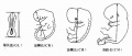 2014年1月18日 (六) 10:02的版本的缩略图
