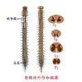 2014年1月18日 (六) 11:18的版本的缩略图